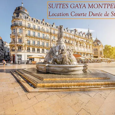 Rare Loft Vue Sur Les Toits - Gaya Centre Historique * Montpellier